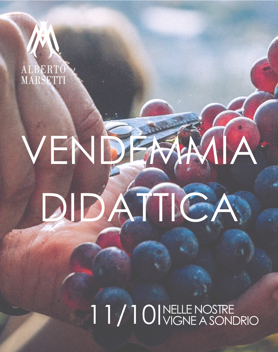 Vendemmia didattica<div class="data">11/10/2025</div>
